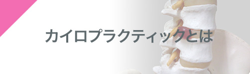 愛情カイロプラクティック　筋肉